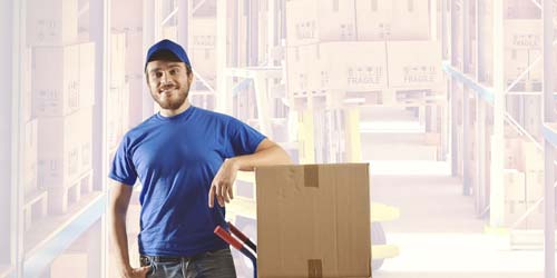 Hans packers and Movers Profile
